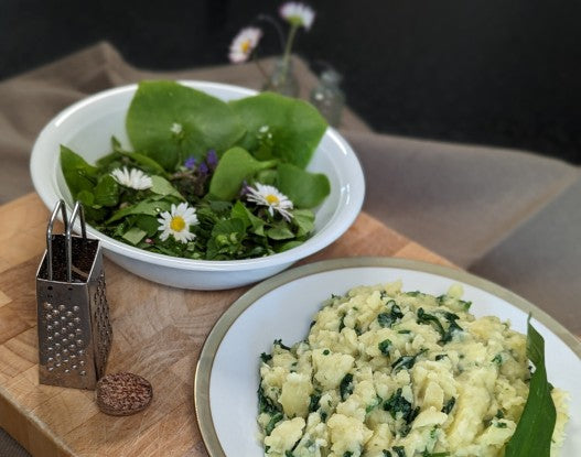 BÄRLAUCH TAG! SATTES GRÜN TRIFFT AUF GREENKITCHEN